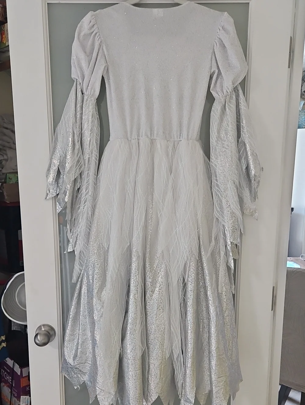 Spirit Halloween Kids Wintery Witch, Princess, Fairy Gown Size L(10-12)